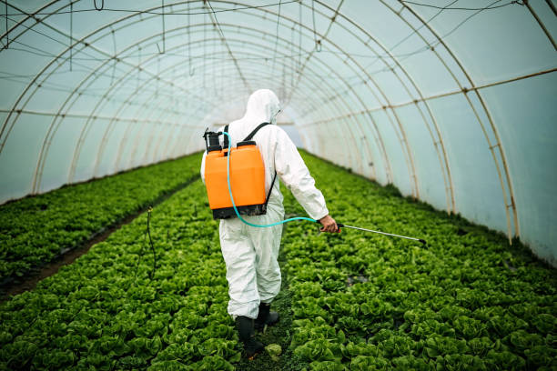 Best Pest Inspection Near Me  in Urbana, IA