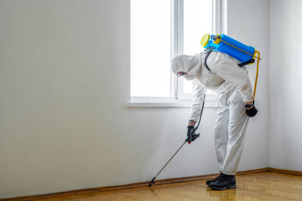 Best Affordable Pest Control Services  in Urbana, IA