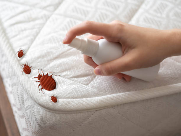 Best Cockroach Control Services  in Urbana, IA