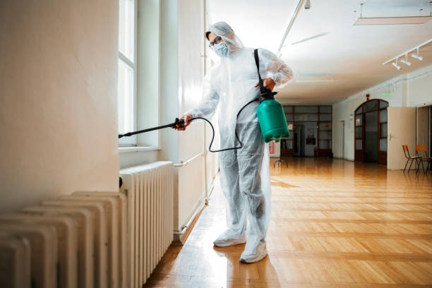 Best Flea Control Services  in Urbana, IA