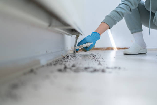 Best Rat Extermination Near Me  in Urbana, IA