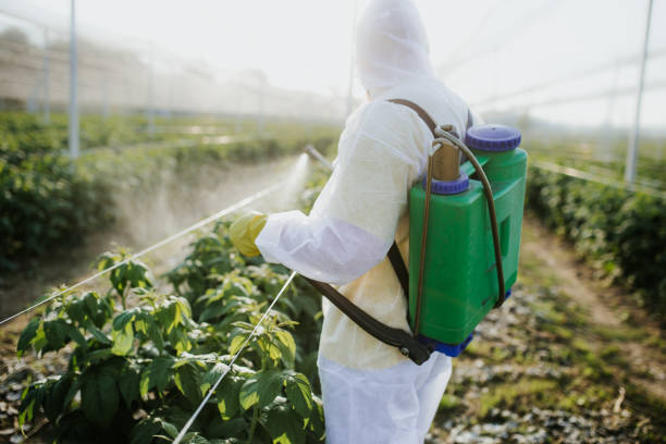 Best Mosquito Control Services  in Urbana, IA